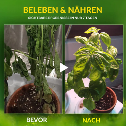 2-in-1-Vita-Enzym 🌱 Repariert und nährt Pflanzen