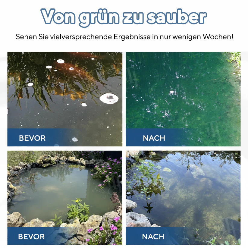 Aqua-Guardian Pro Formel 🌊 Verabschieden Sie sich von trübem Wasser!